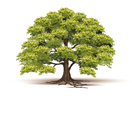 Allington Nursery