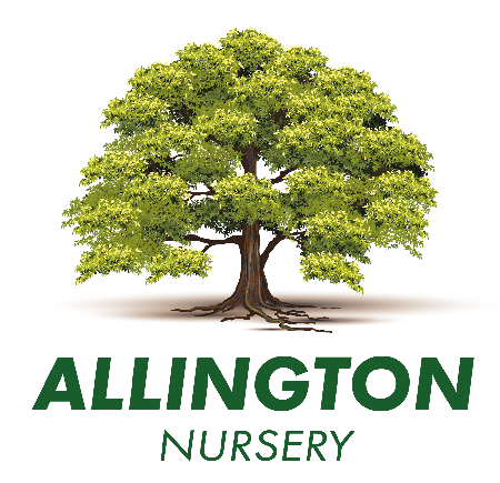 Allington Nursery